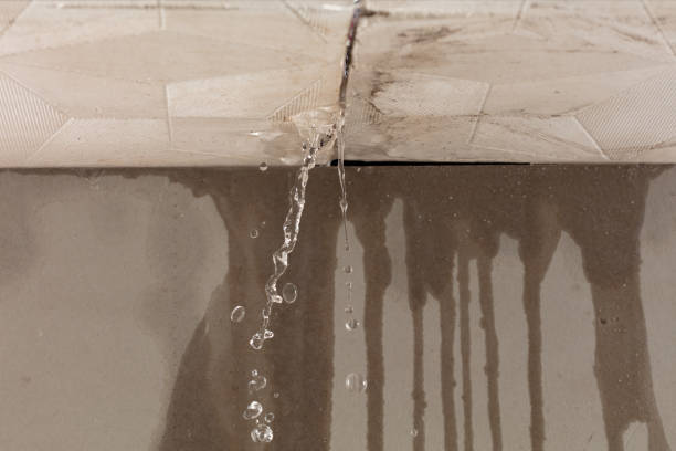 Professional Structural Drying technician working in Waterford, PA